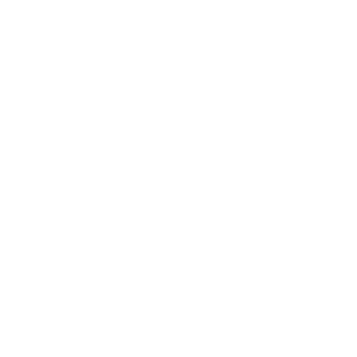 Princípios e Valores
